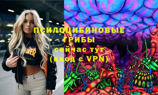 спиды Алзамай