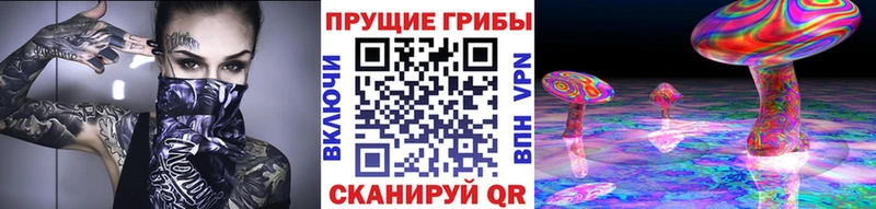 магазин продажи наркотиков  ОМГ ОМГ ссылка  Псилоцибиновые грибы Psilocybe  Туран 